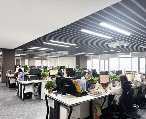 الصين SONSILL HOLDING ملف الشركة