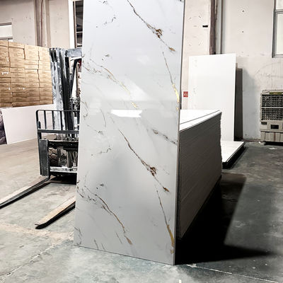 منظمة الصحة البيئية المقاومة للماء لوحة حائط دش PVC سهلة تنظيف السطح